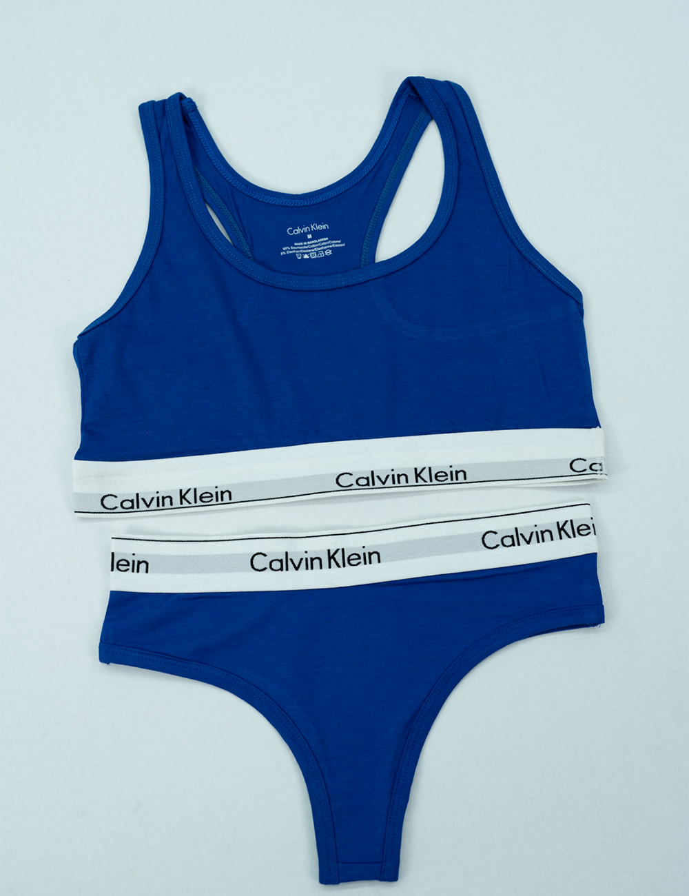 Premium V-Shape Women's Custom Cotton Underwear Sexy Bikini Style Personalized Logo Comfortable Fit Logo Positioned Cup Waist