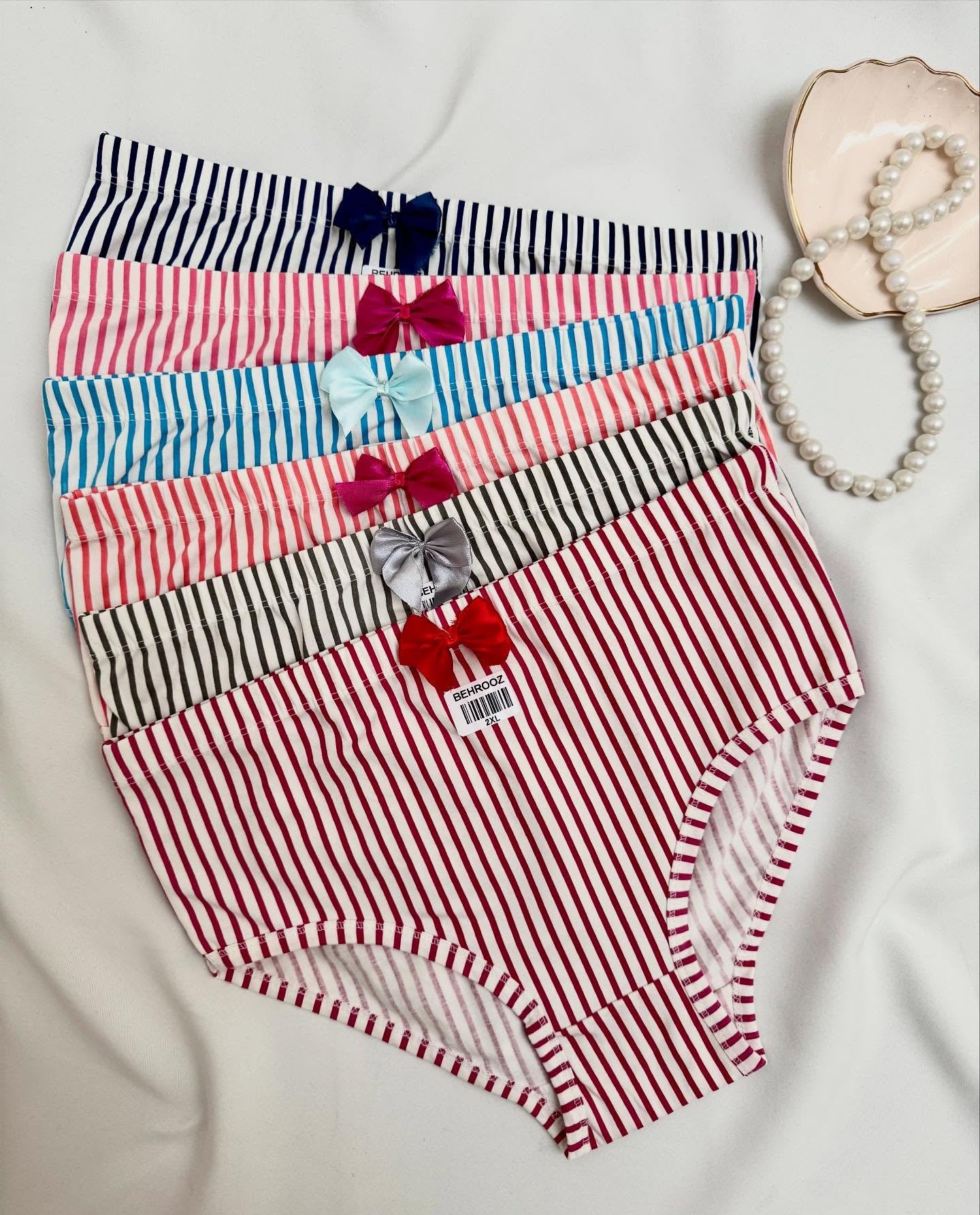 Women’s Incontinence Underwear Regular Absorbency Reusable Washable Urinary Incontinence Briefs