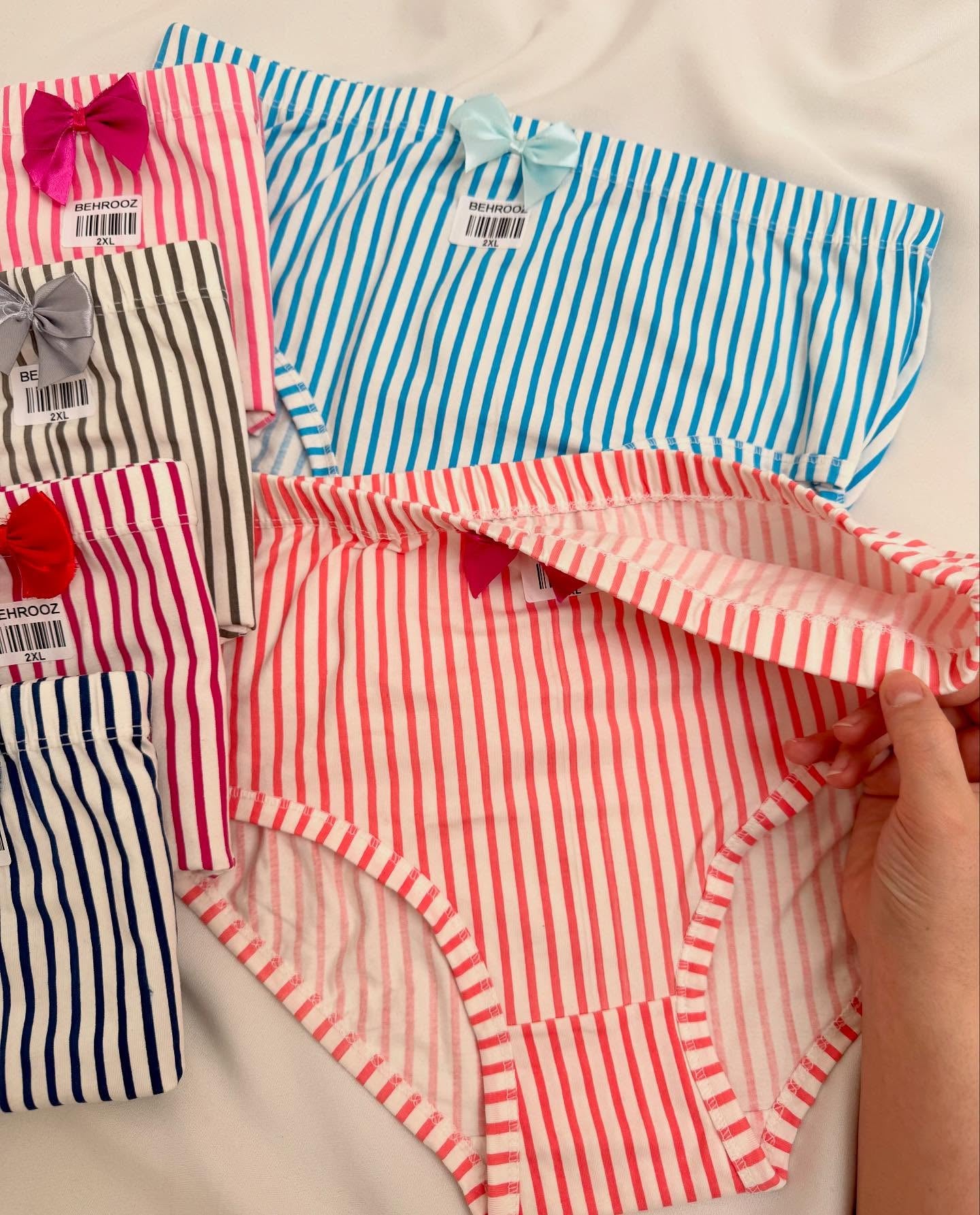 Women’s Incontinence Underwear Regular Absorbency Reusable Washable Urinary Incontinence Briefs