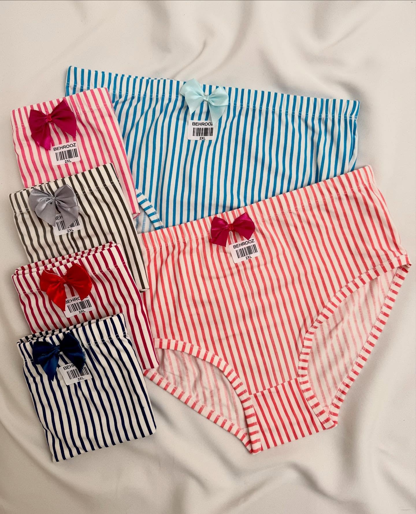 Women’s Incontinence Underwear Regular Absorbency Reusable Washable Urinary Incontinence Briefs