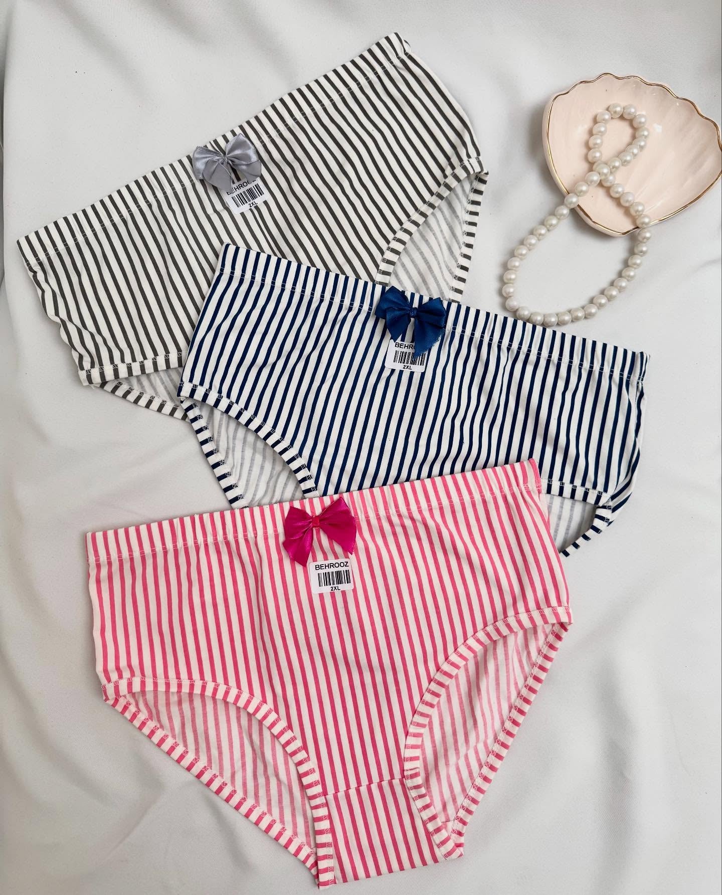 Women’s Incontinence Underwear Regular Absorbency Reusable Washable Urinary Incontinence Briefs